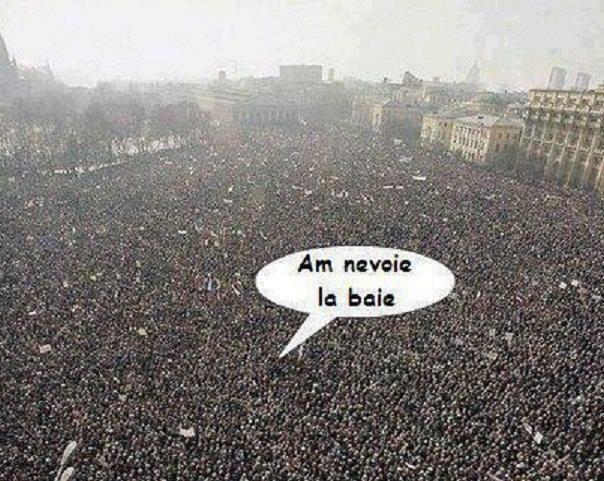 Diverse - 270679594697197215381531764484n.jpg